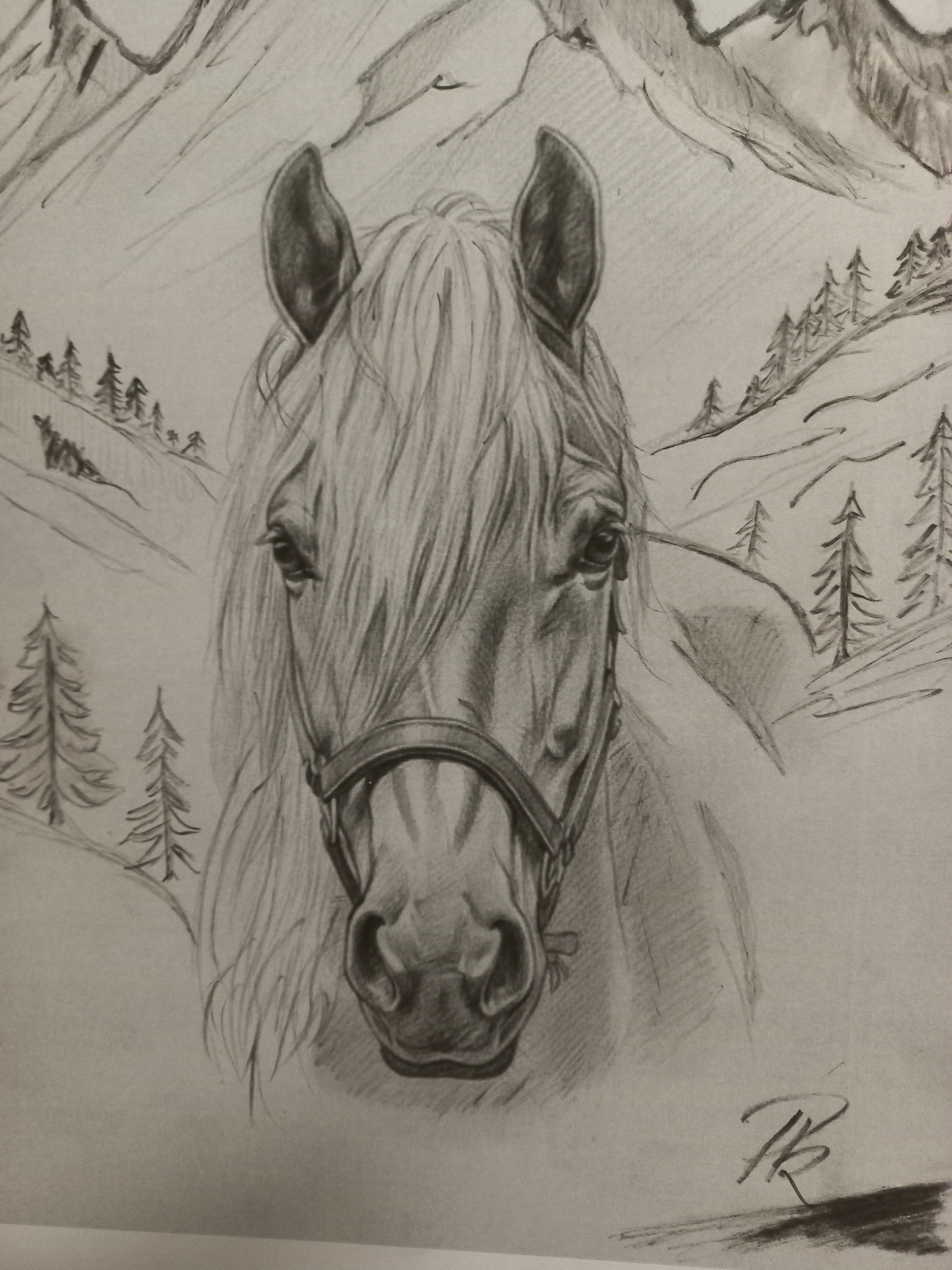 Dein Liebling für die Ewigkeit - Individuelles Tierportrait vom Foto mit Wunsch-Hintergrund (z.B. Berge-Strand) Handgezeichnetes Unikat